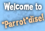 Welcome to Parrotdise! Apparel for parrot owners.