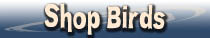 Unique Gifts for Bird Lovers Bird Gifts