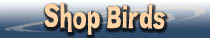 Unique Gifts for Bird Lovers Bird Gifts
