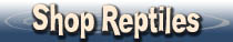 Buy Reptile Tees and Other Products Reptile Gifts