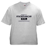 Property of Hyacinth Macaw Grey T-Shirt